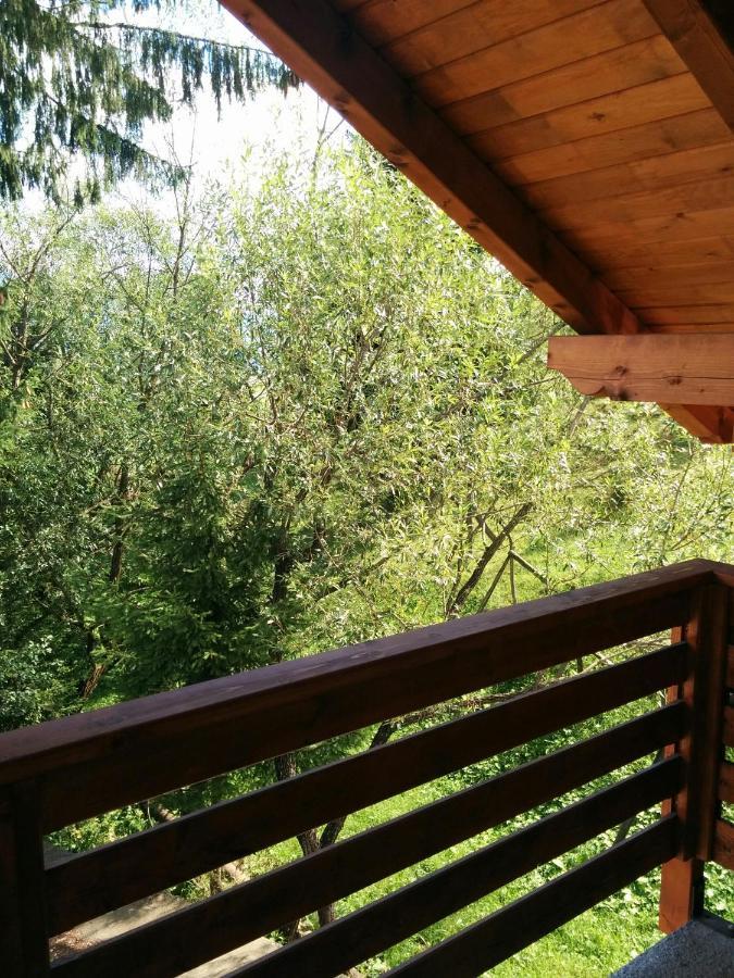 Апартаменты Casuta Pietrosul Rodnei Борша Экстерьер фото